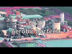 VSA VPSA Оксигенгенератор